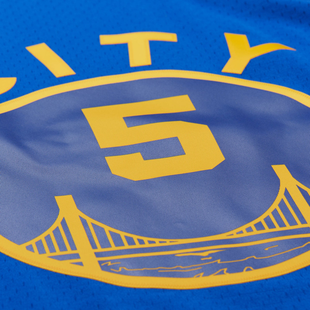 Golden State Warriors Baron Davis Mitchell & Ness Royal Hardwood Classics 2004/05 Swingman Jersey for Men product image 5,