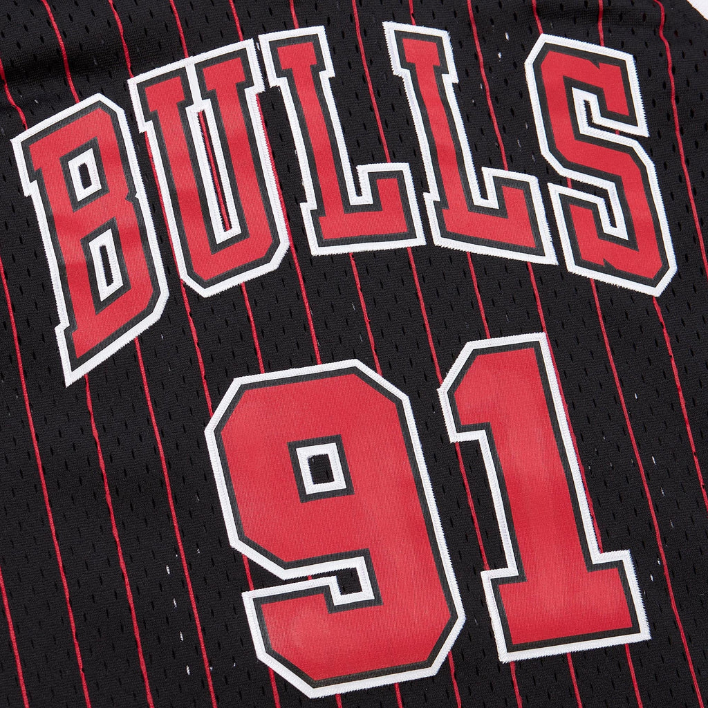 Youth Chicago Bulls Dennis Rodman Black 1995/96 Swingman Jersey product image 4, provided for visual reference and product