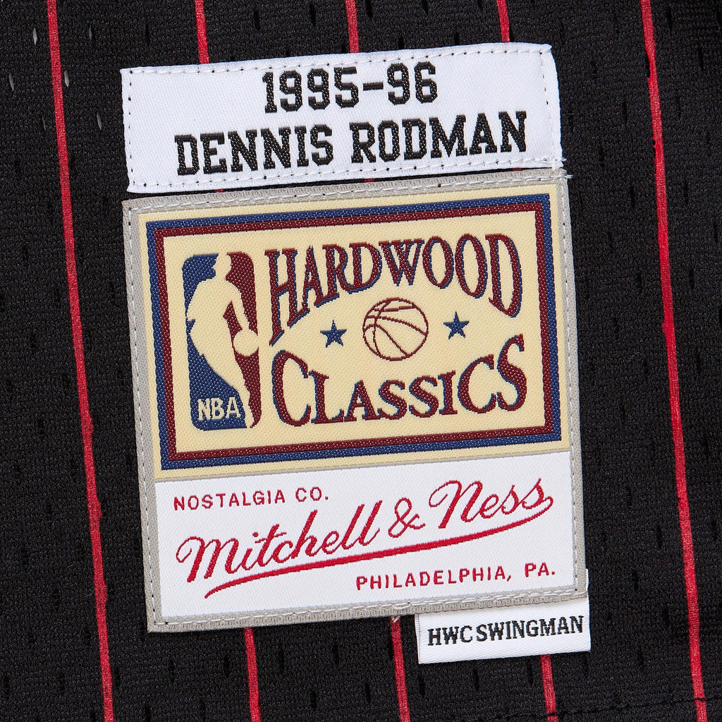 Youth Chicago Bulls Dennis Rodman Black 1995/96 Swingman Jersey product image 6, provided for visual reference and product