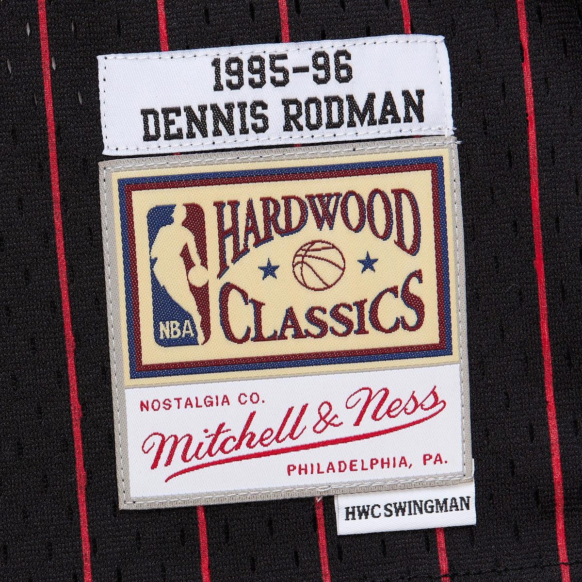Youth Chicago Bulls Dennis Rodman Black 1995/96 Swingman Jersey product image 6, provided for visual reference and product