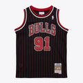 Youth Chicago Bulls Dennis Rodman Black 1995/96 Swingman Jersey product image 1, provided for visual reference and product