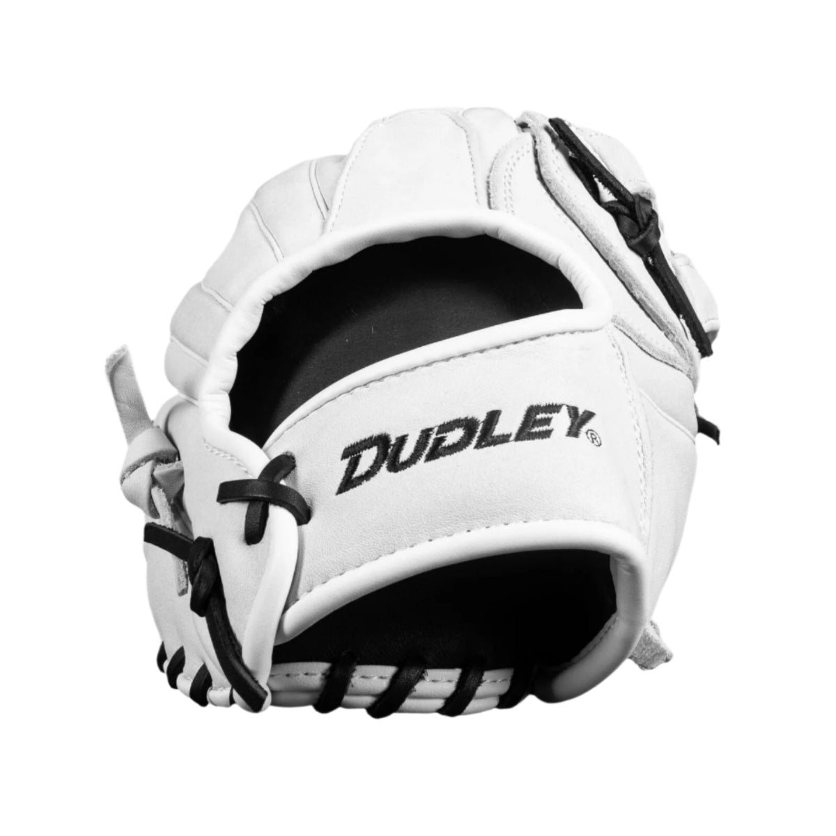 Dudley Slowpitch Fielding Glove product image 2, provided for visual reference and product detail review