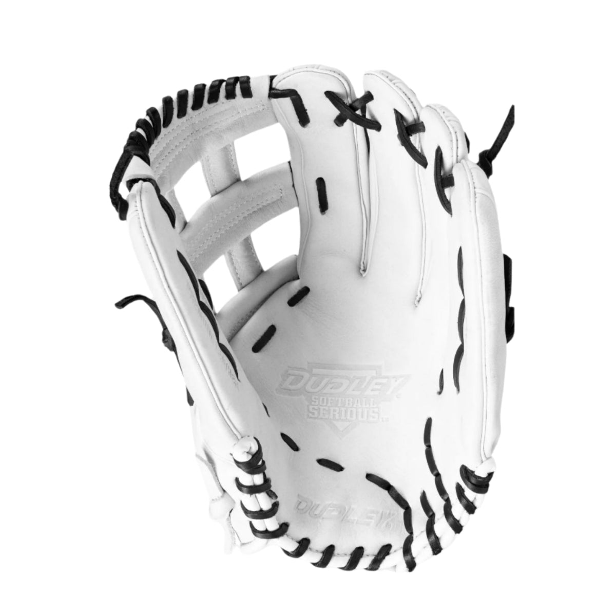 Dudley Slowpitch Fielding Glove product image 3, provided for visual reference and product detail review