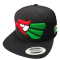 Embroidered Eagle and flag Mexico WIDE logo Snapback hat product image 1, provided for visual reference and product detail
