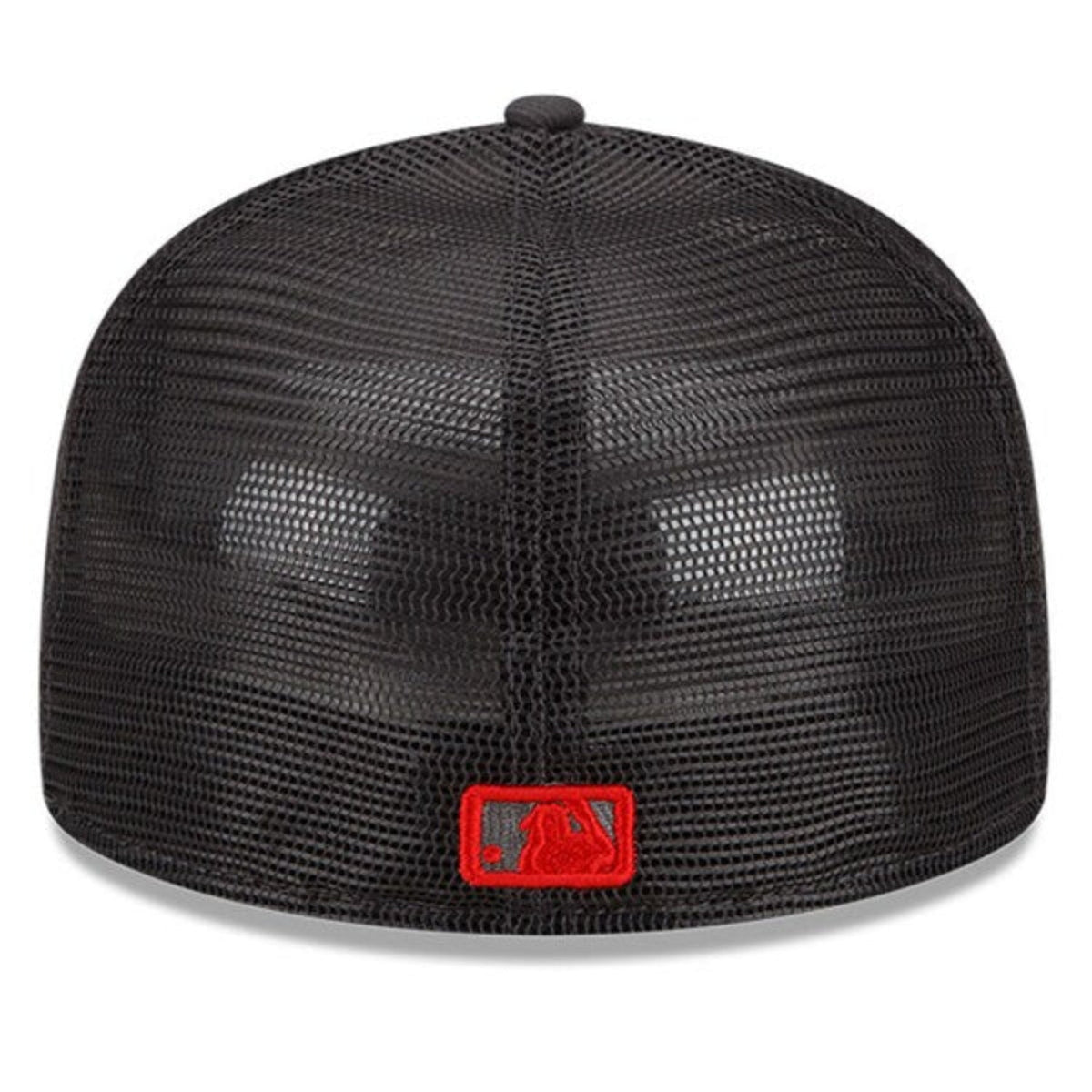 Minnesota Twins Batting Practice mesh Hat product image 2, provided for visual reference and product detail review