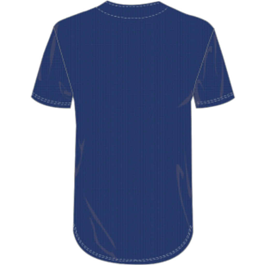 Nike Dodgers Jersey 2020 product image 2, provided for visual reference and product detail review