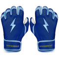 PREMIUM PRO PHILLIPS Series Short Cuff Batting Gloves product image 1, provided for visual reference and product detail