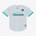 Memphis Grizzlies Mitchell & Ness White Head Coach Pinstripe Mesh Full-Button Baseball Jersey for Men product image 1,